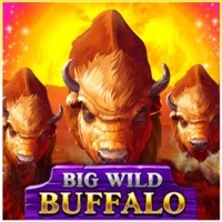 game logo by Belatra Games on n1betit.com